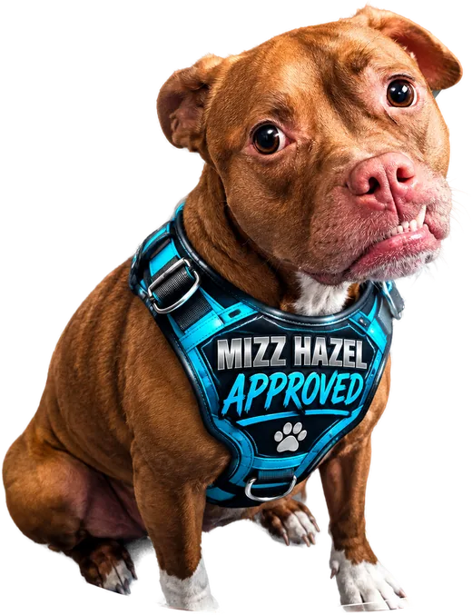 Mizz Hazel, wearing her Mizz Hazel Approved harness